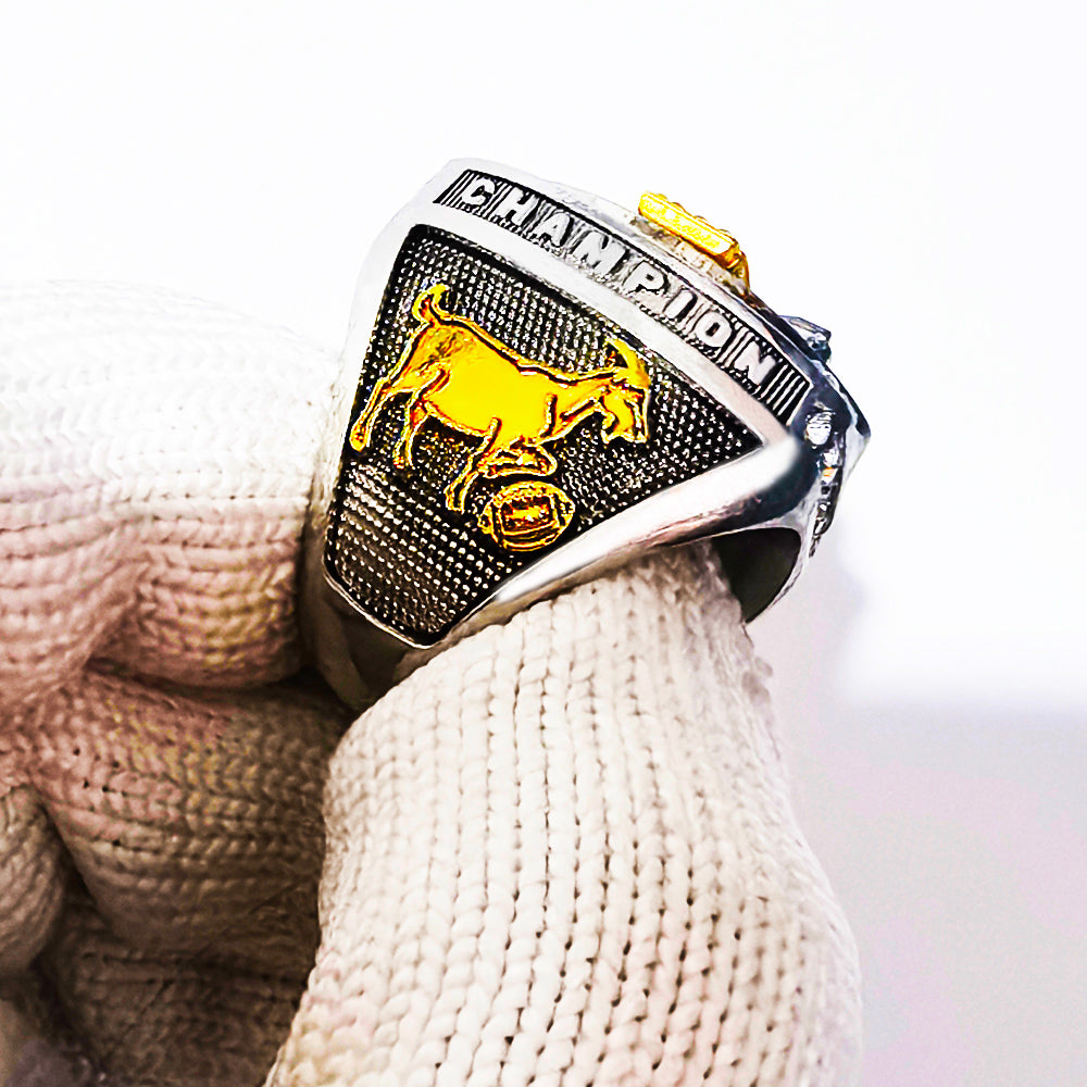 Fantasy Football Championship Ring ā Silver, Gold & Blue Champion Edition